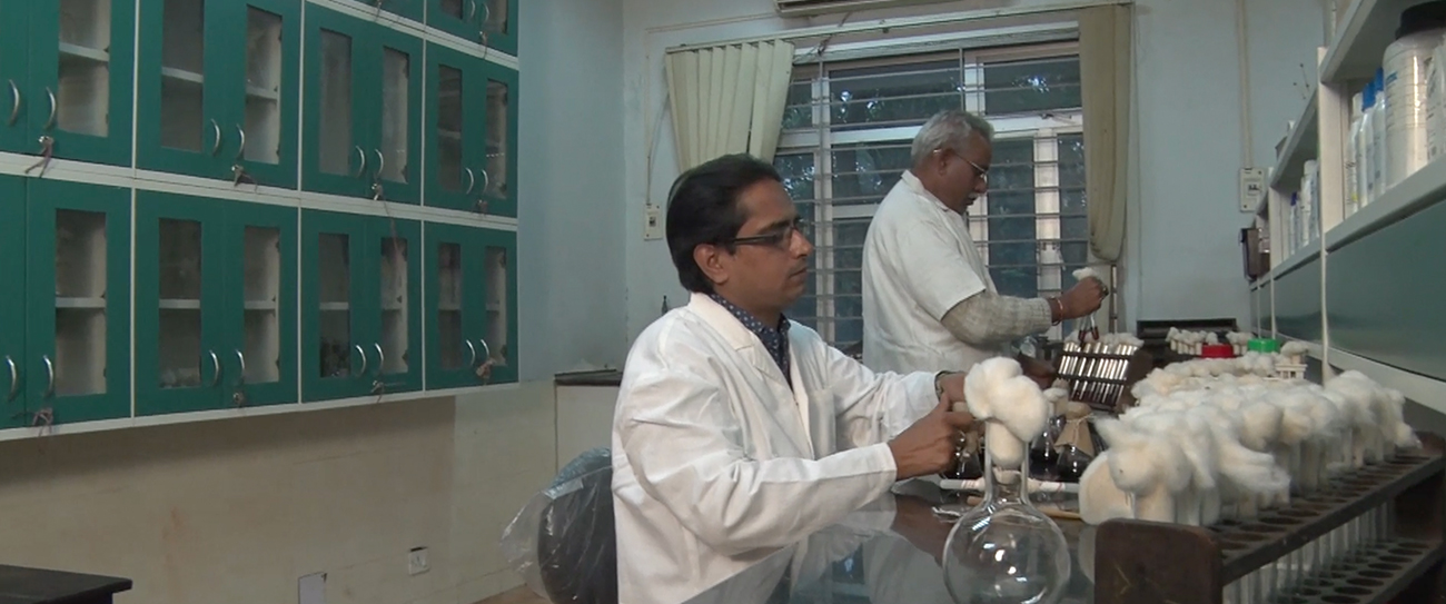 माइक्रोबायोलॉजी विभाग